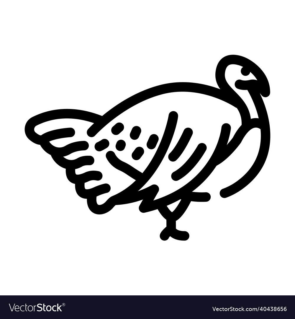 Turkey farmland bird line icon Royalty Free Vector Image