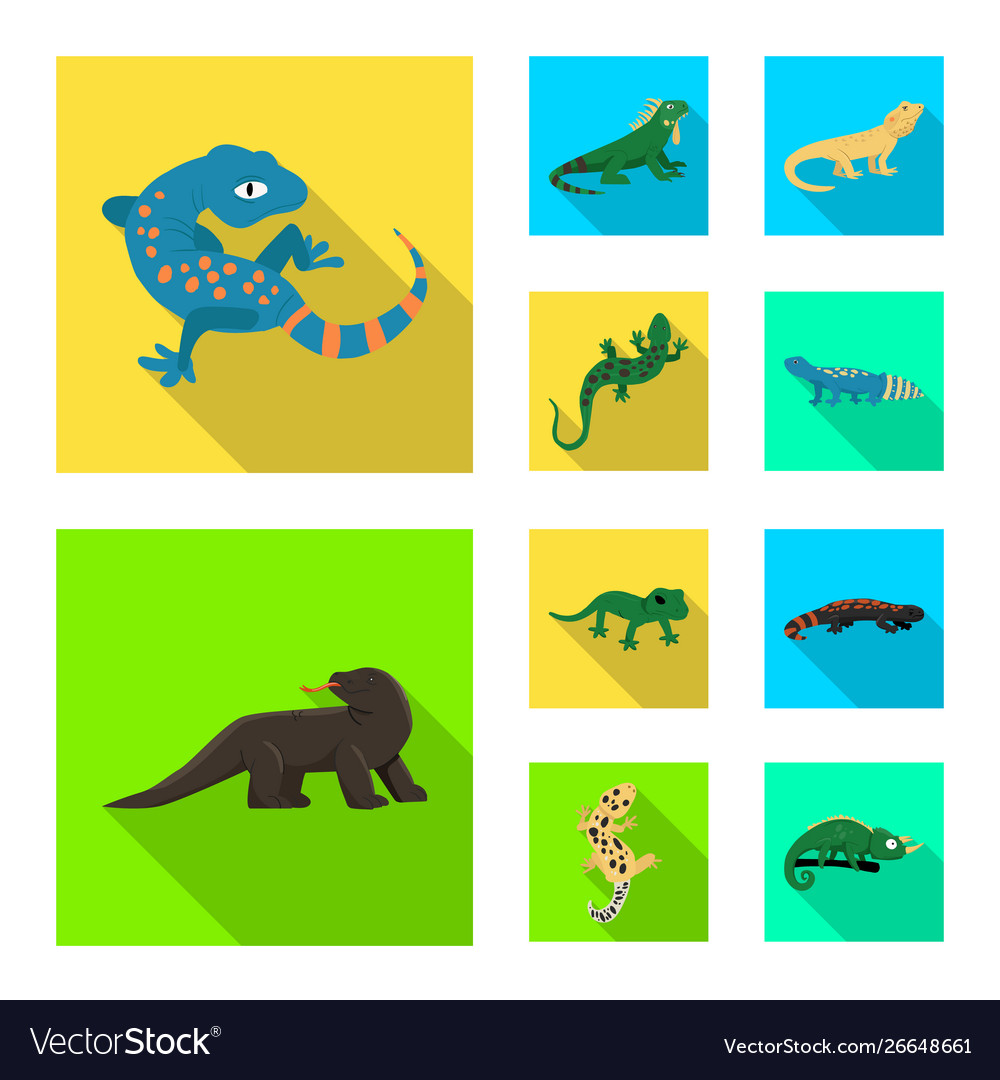 Isolated object tail and fauna sign set vector image Isolated object tail and fauna sign set