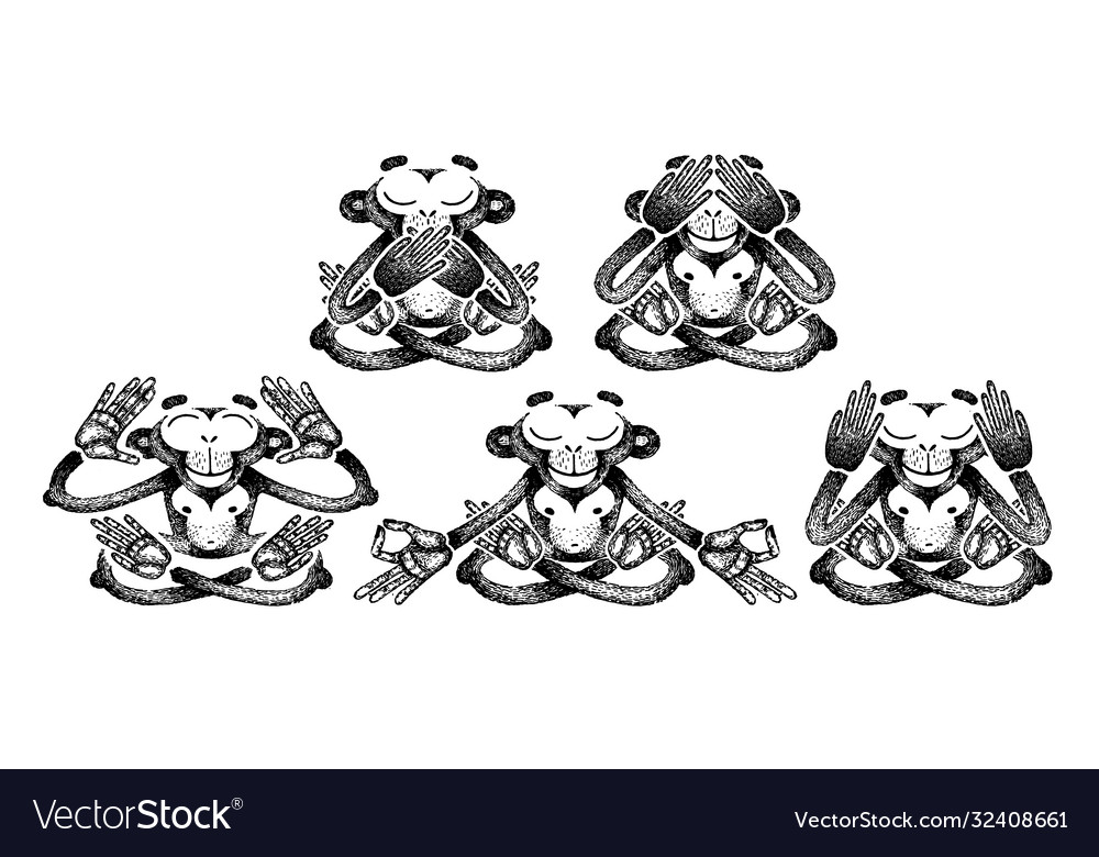 Monkeys in Meditation Poses