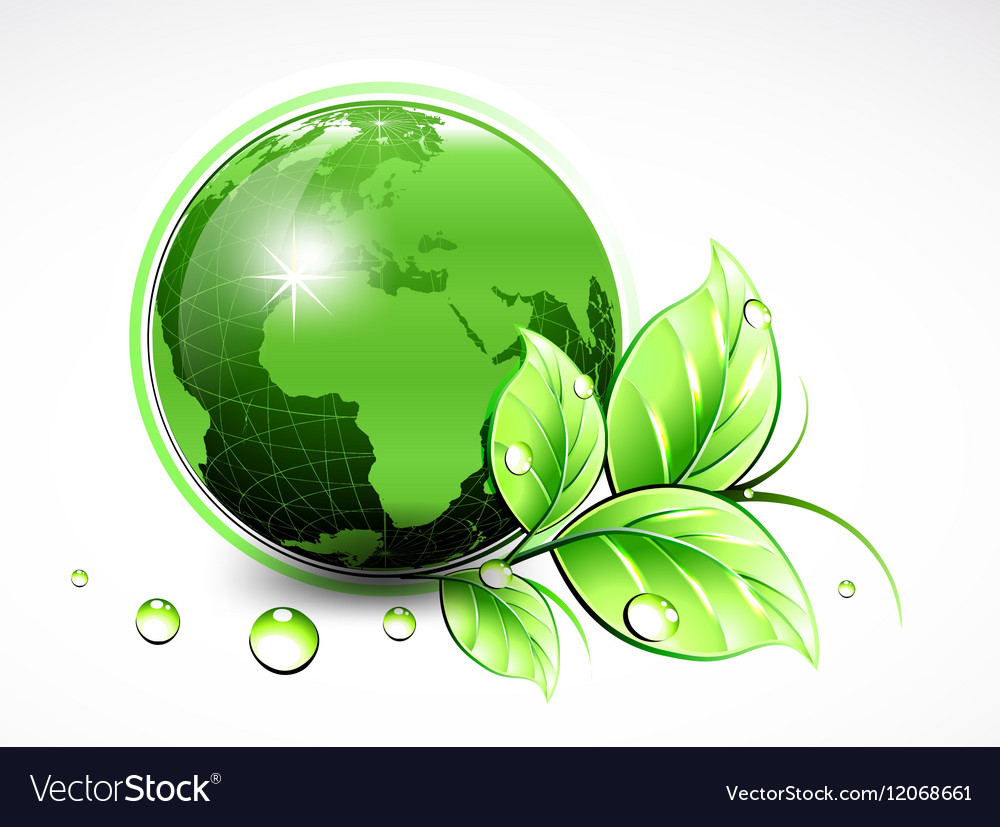 Natural green world with leaves and water drops Vector Image