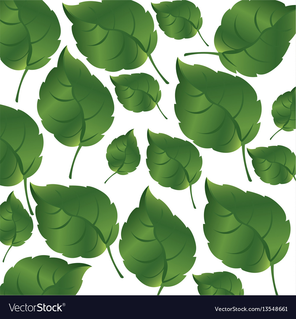 Pattern green leaves with branch nature icon