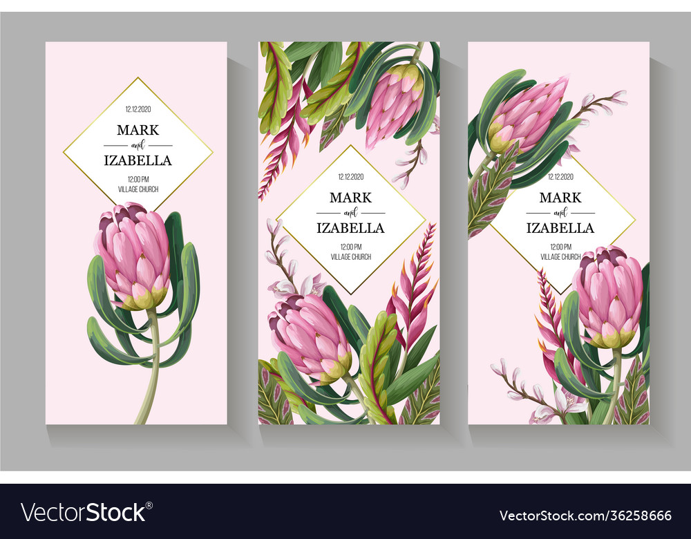 Protea Flower Quotes | Best Flower Site