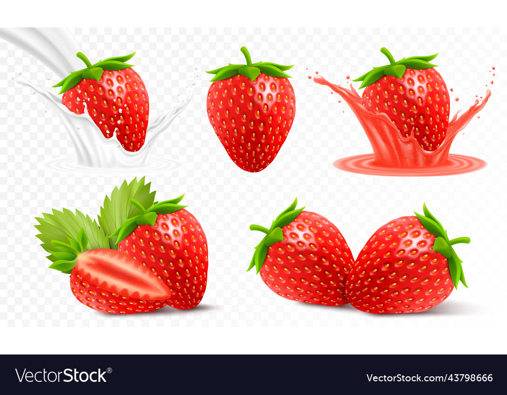 Whole and slice of strawberry strawberry Vector Image