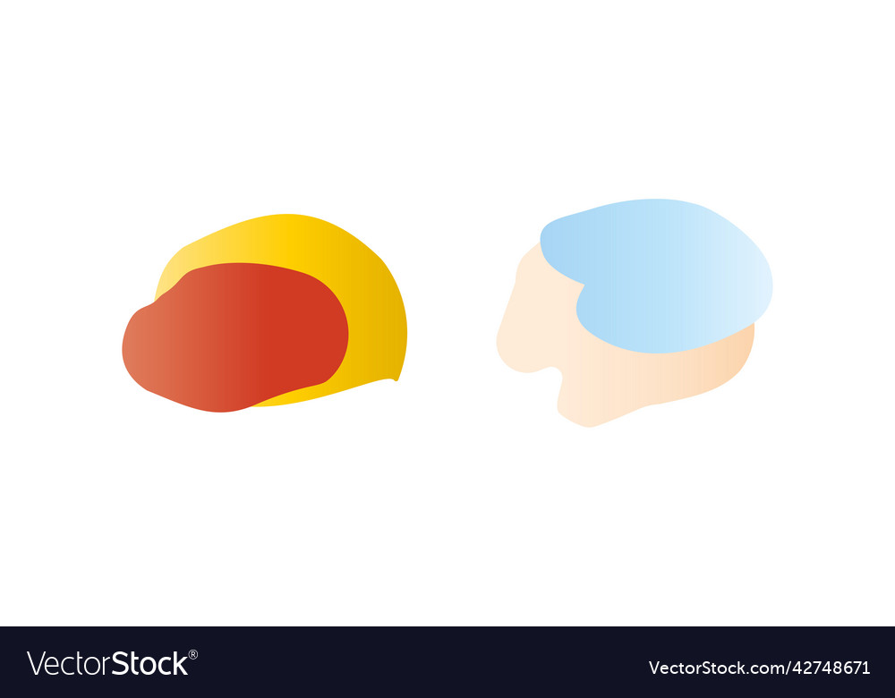 Colorful blob shape objects vector image Colorful blob shape objects