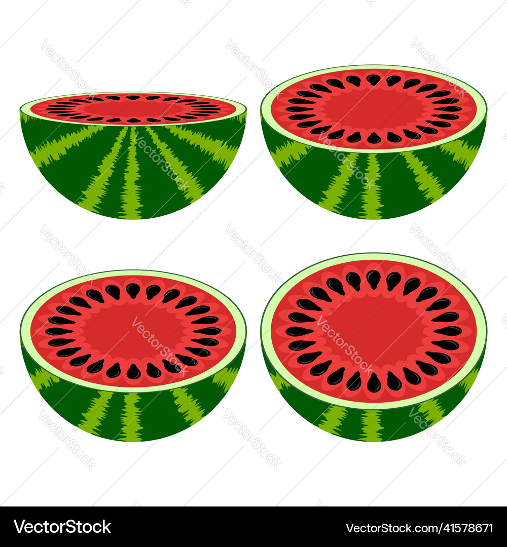 Fresh ripe watermelon icon set isolated on white Vector Image