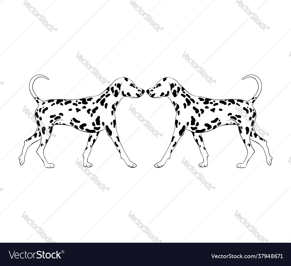 Hand drawn dalmatian isolated creative