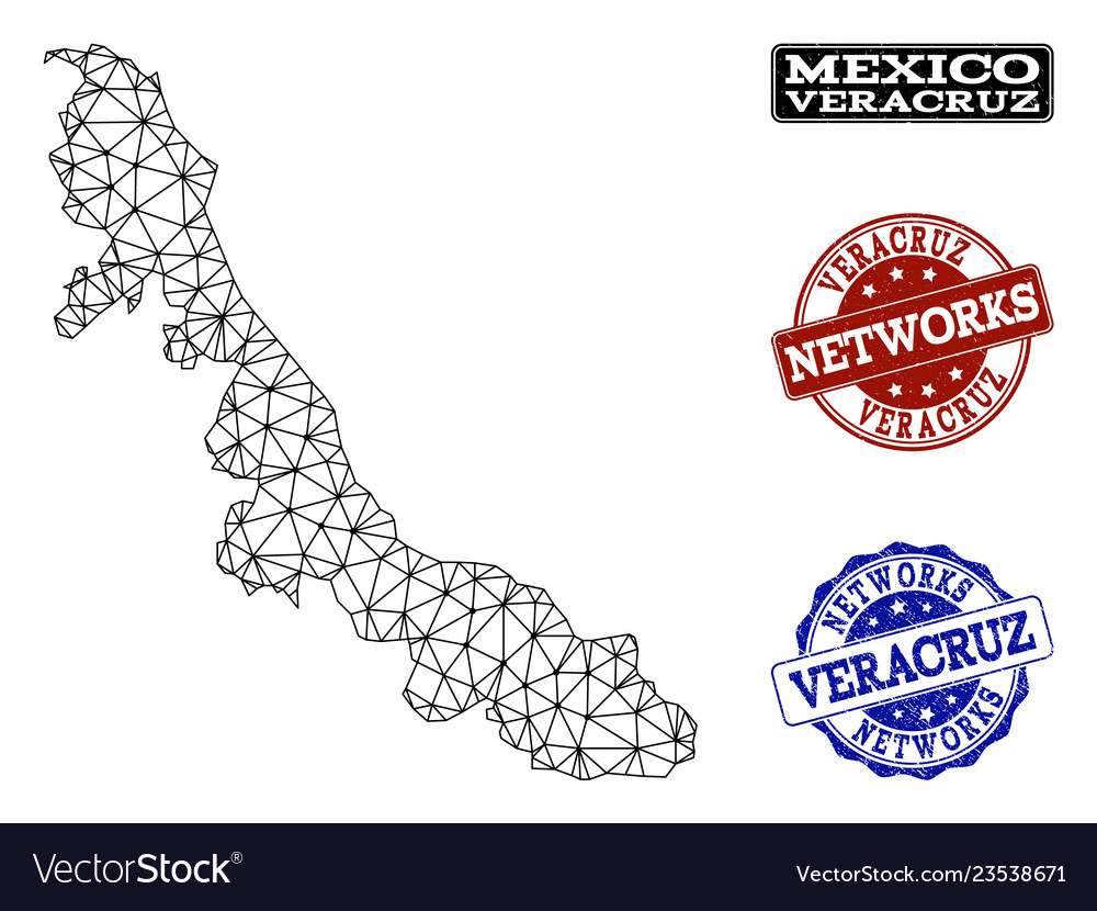 Polygonal network mesh map of veracruz Vector Image Polygonal network mesh map of veracruz