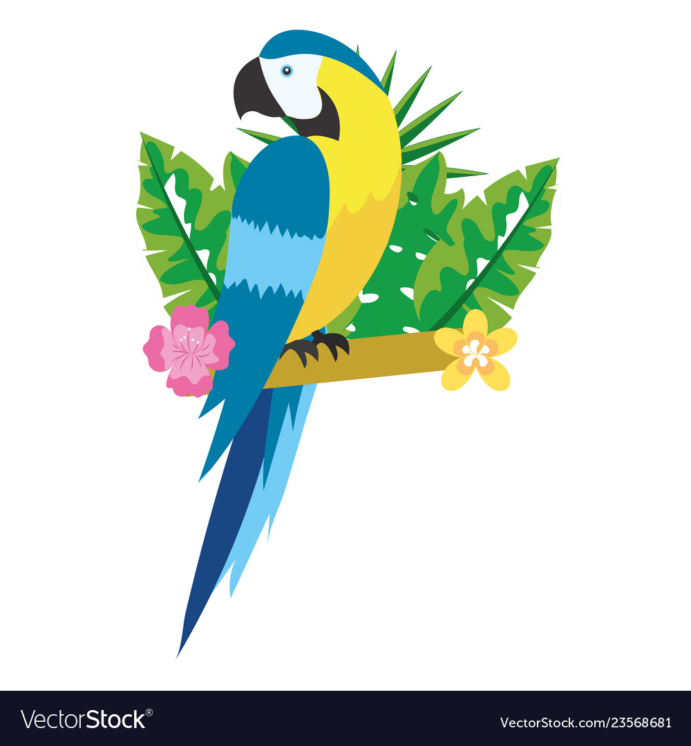 Cute tropical parrot cartoon