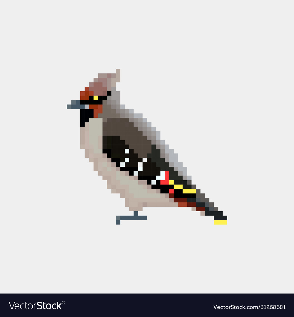 Stylized waxwings - bohemian waxwing cedar