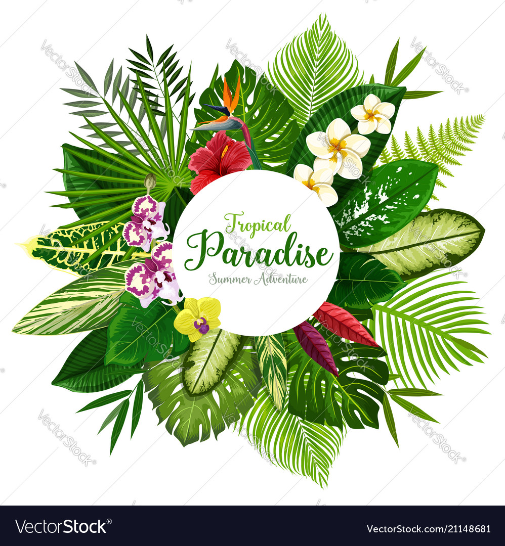 Summer holidays banner of tropical palm and flower