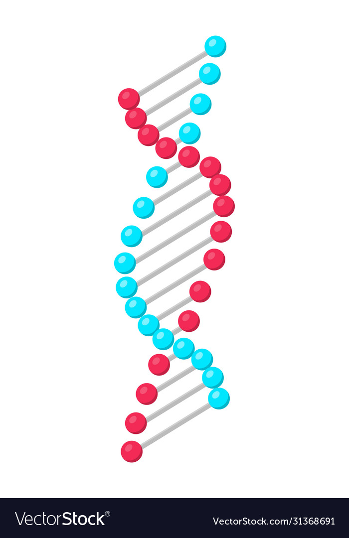 Dna structure isometric Royalty Free Vector Image