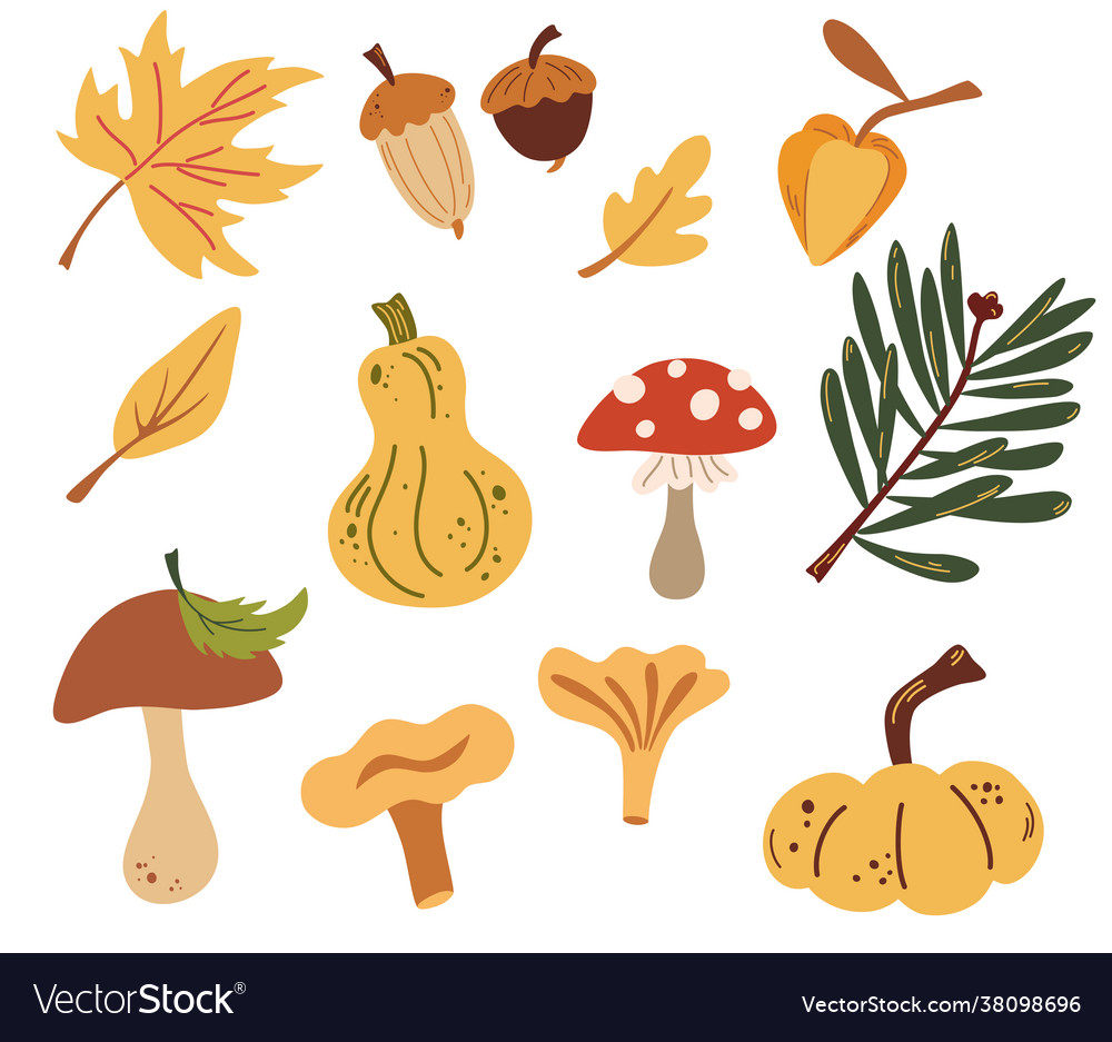 Set autumn nature elements forest objects Vector Image Set autumn nature elements forest objects