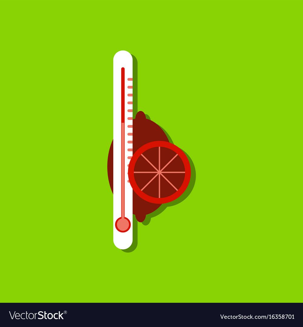 Flache Icon Design Kollektion Thermometer