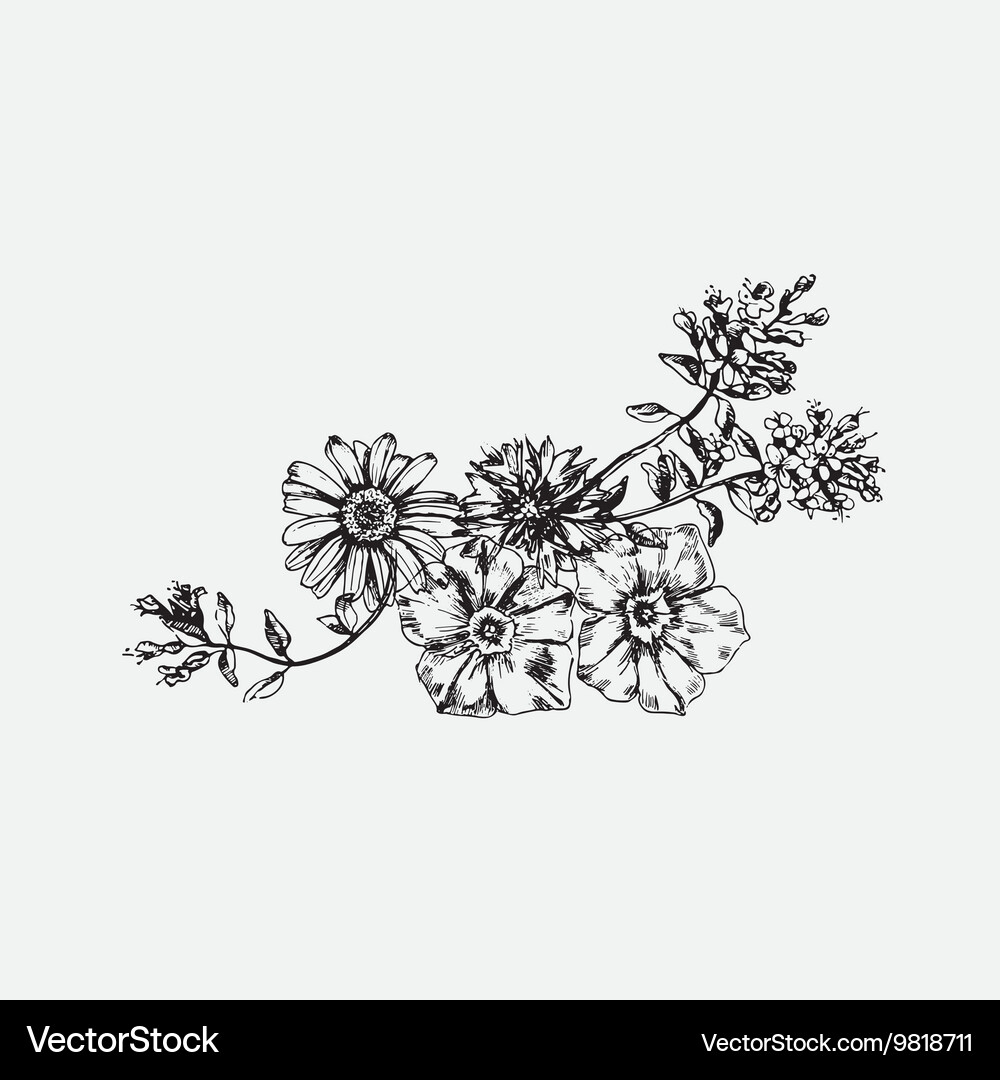 Hand drawn Royalty Free Vector Image - VectorStock