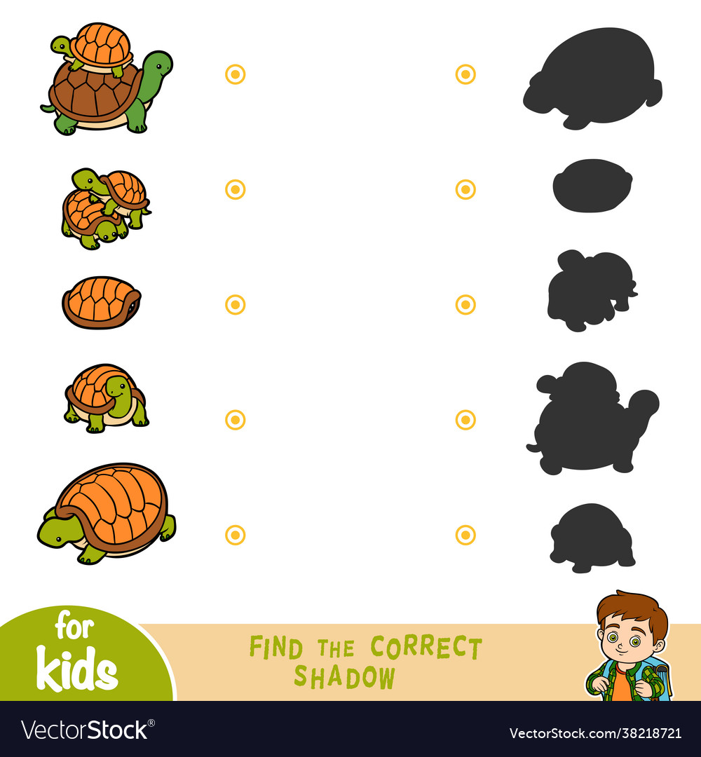 Find correct shadow game for children set Vector Image