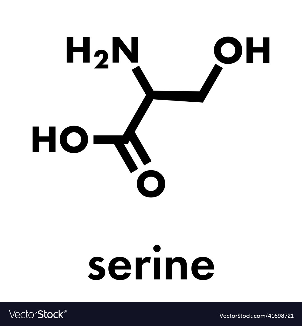 Serine L Serine Ser S Amino Acid Molecule Vector Image