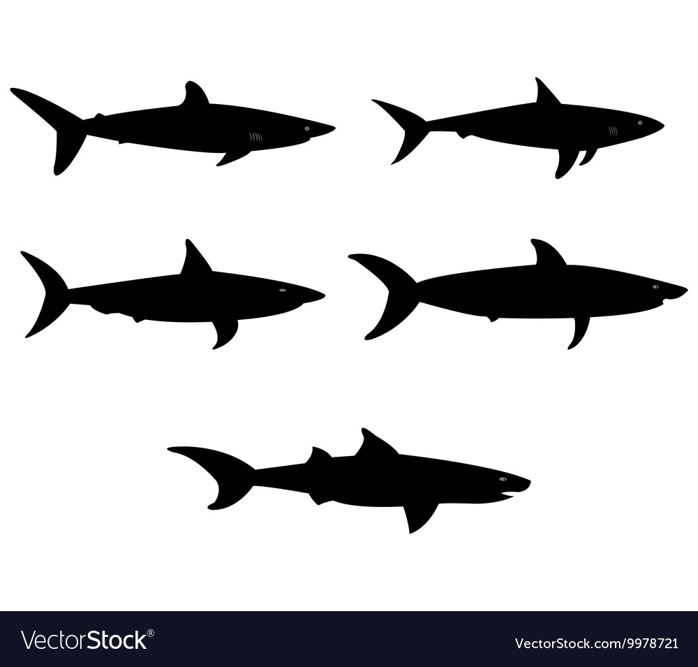 Sharks