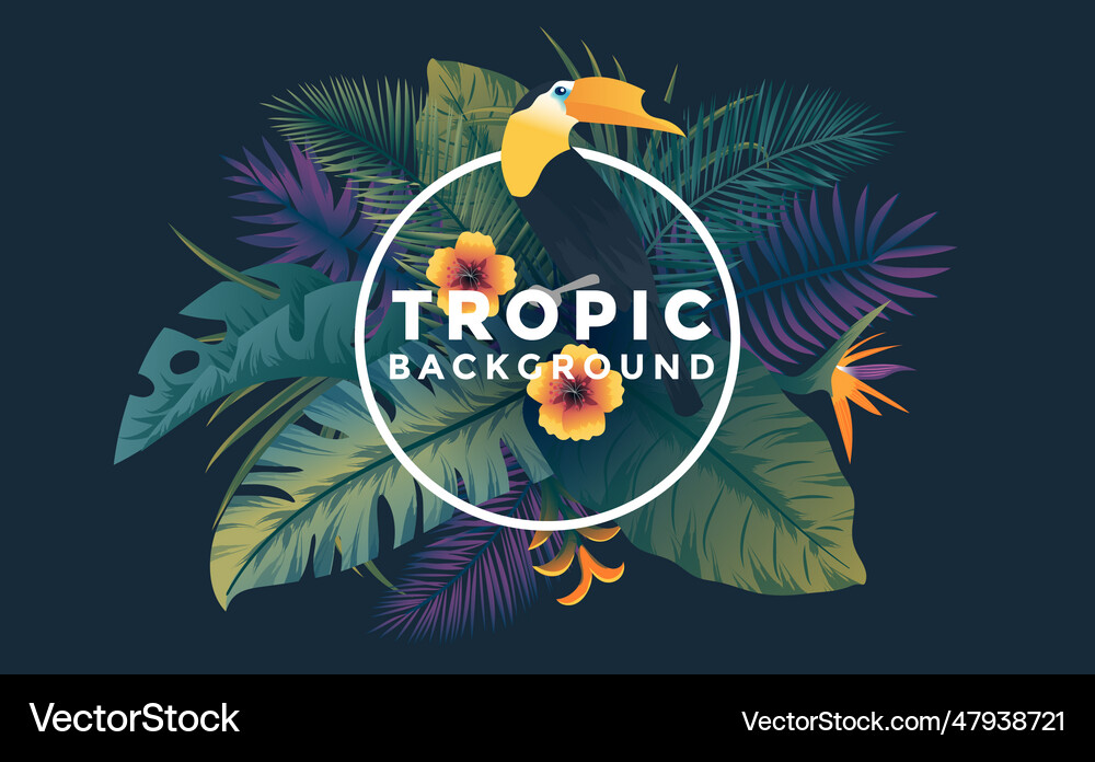 Tropical background with frame 7 Royalty Free Vector Image