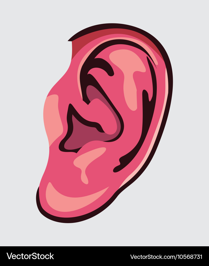 Ear icon Royalty Free Vector Image - VectorStock