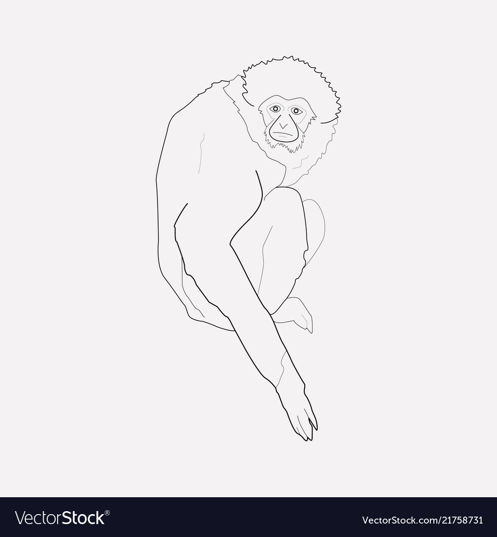 Gibbon icon line element