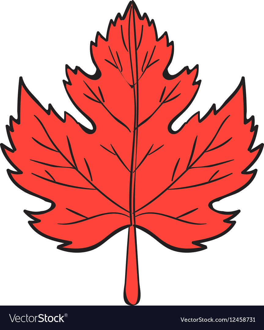 canadian maple leaf outline