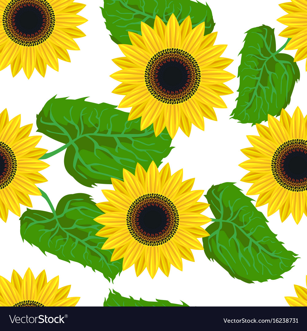 Sunflower Pattern SVG