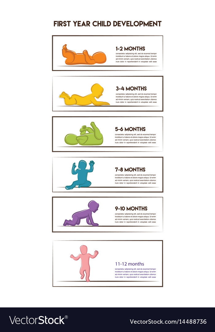 Baby development stages milestones first one year Vector Image