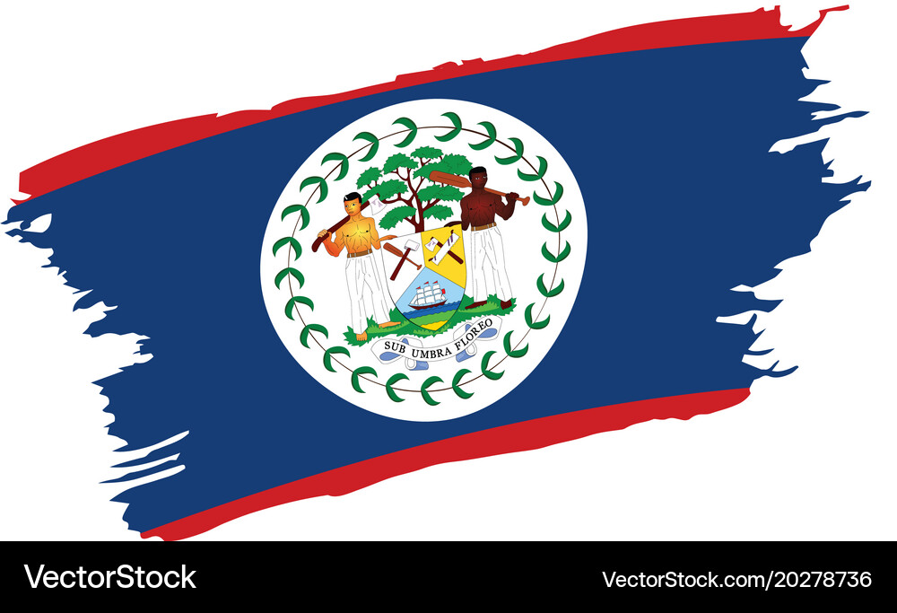 Belize flag Royalty Free Vector Image - VectorStock