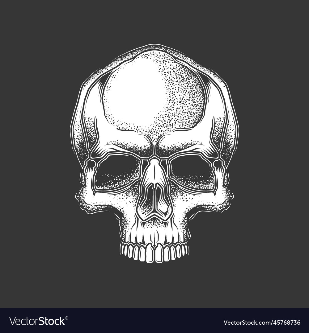 Skull in retro style vector image Skull in retro style
