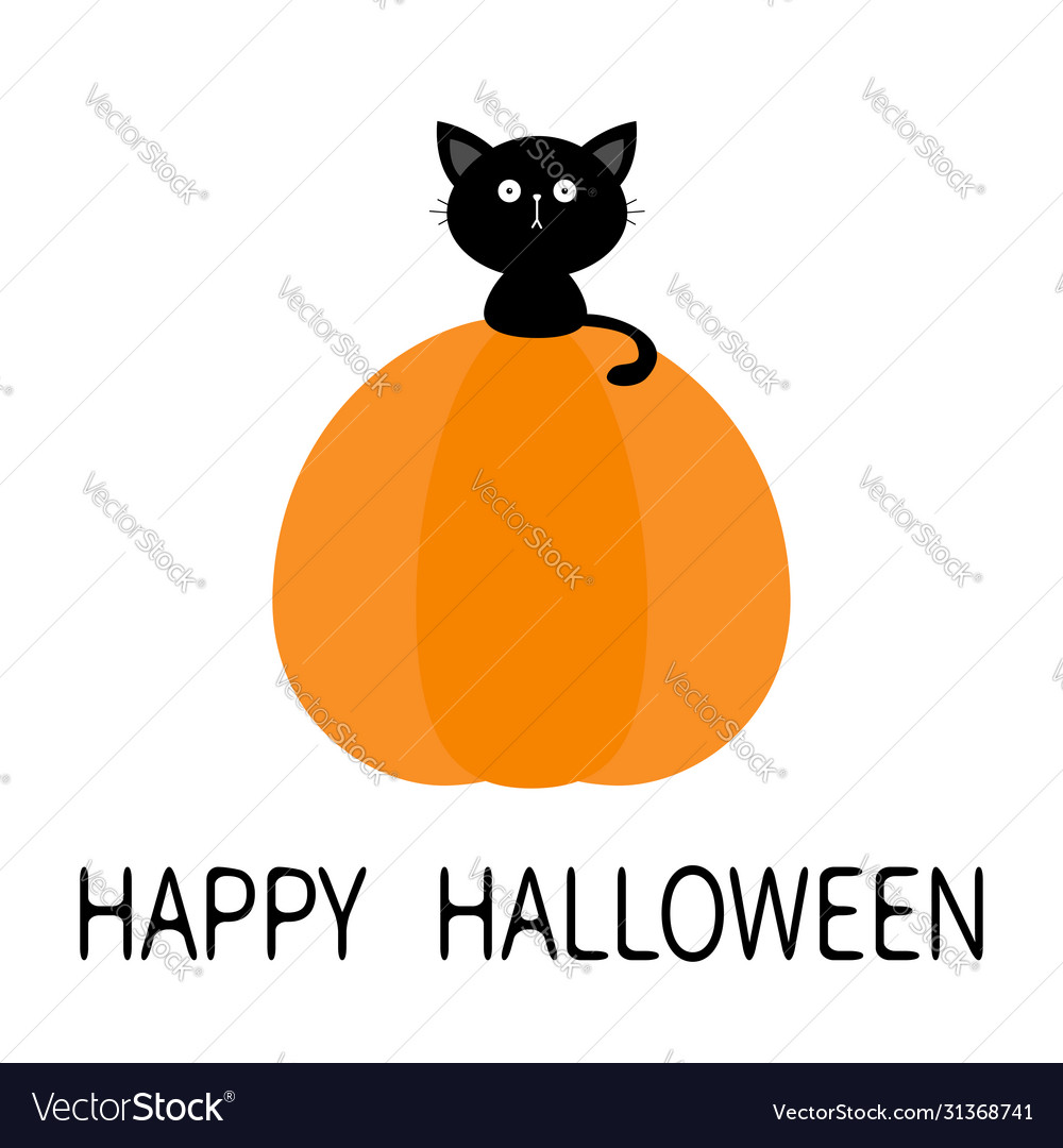 Black cat sitting on pumpkin cute cartoon kawaii