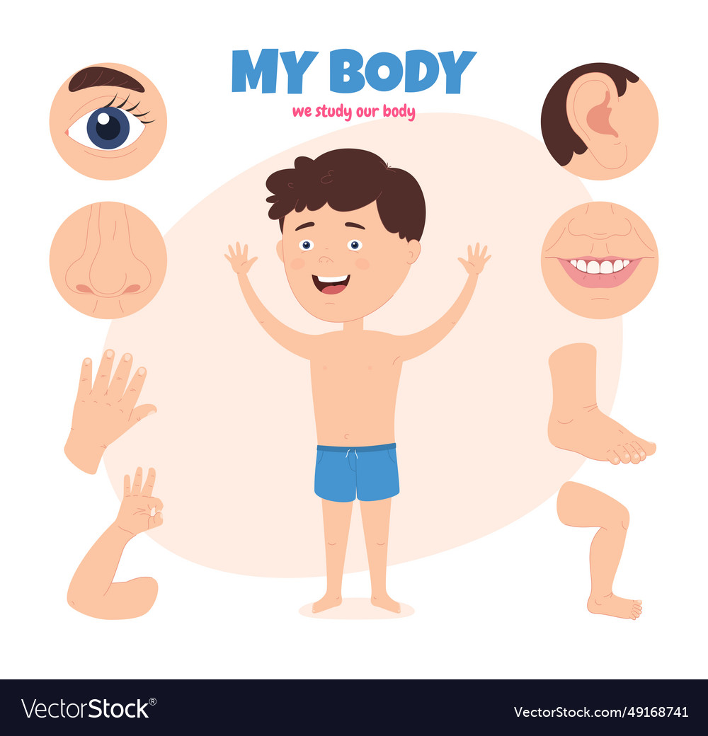 Body parts of a child scheme with different Vector Image