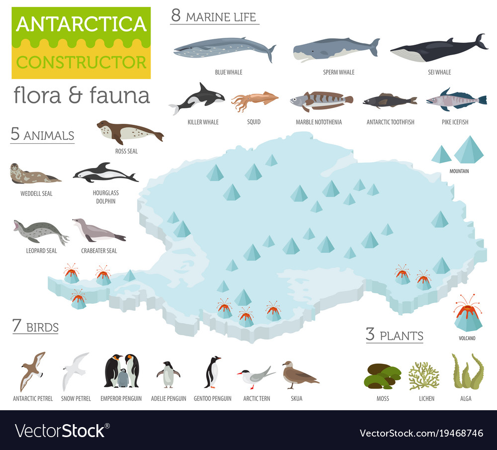 Antarctica Flora and Fauna Map