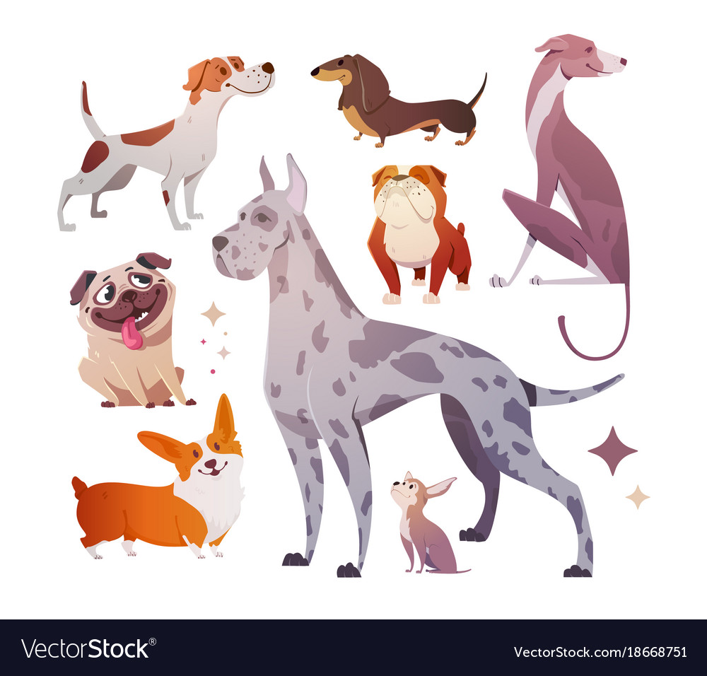 cartoon dogs of different breeds and sizes vector image
