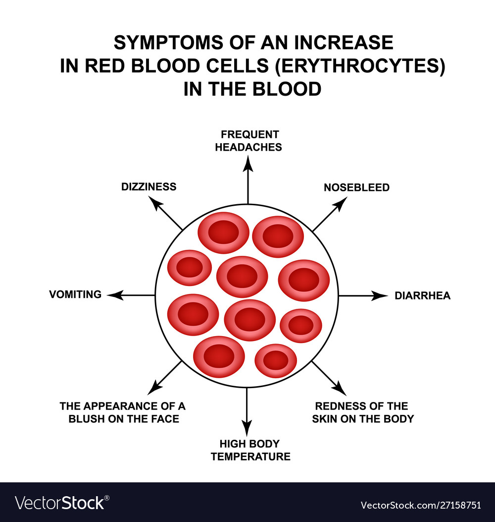 Symptoms An Increase In Red Blood Cells In The Vector Image