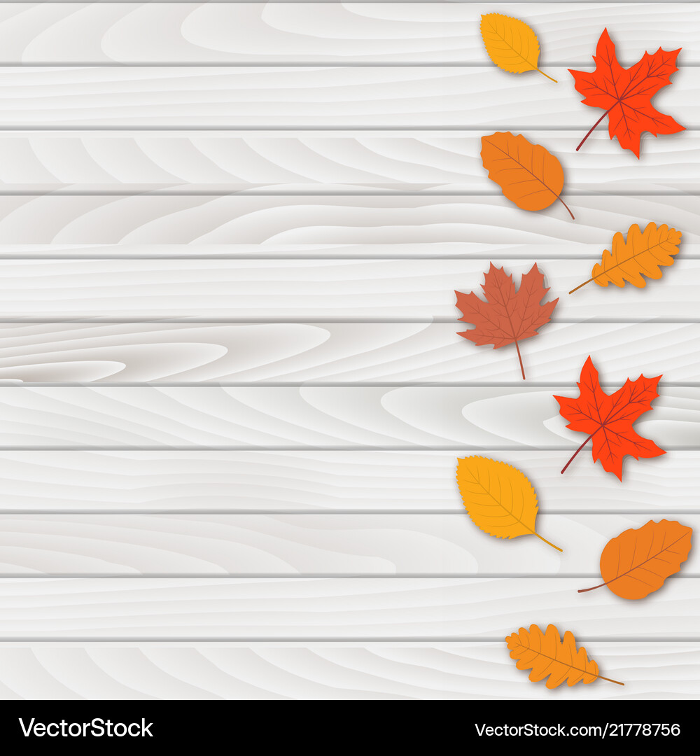 Abstract background with falling autumn leaves Vector Image