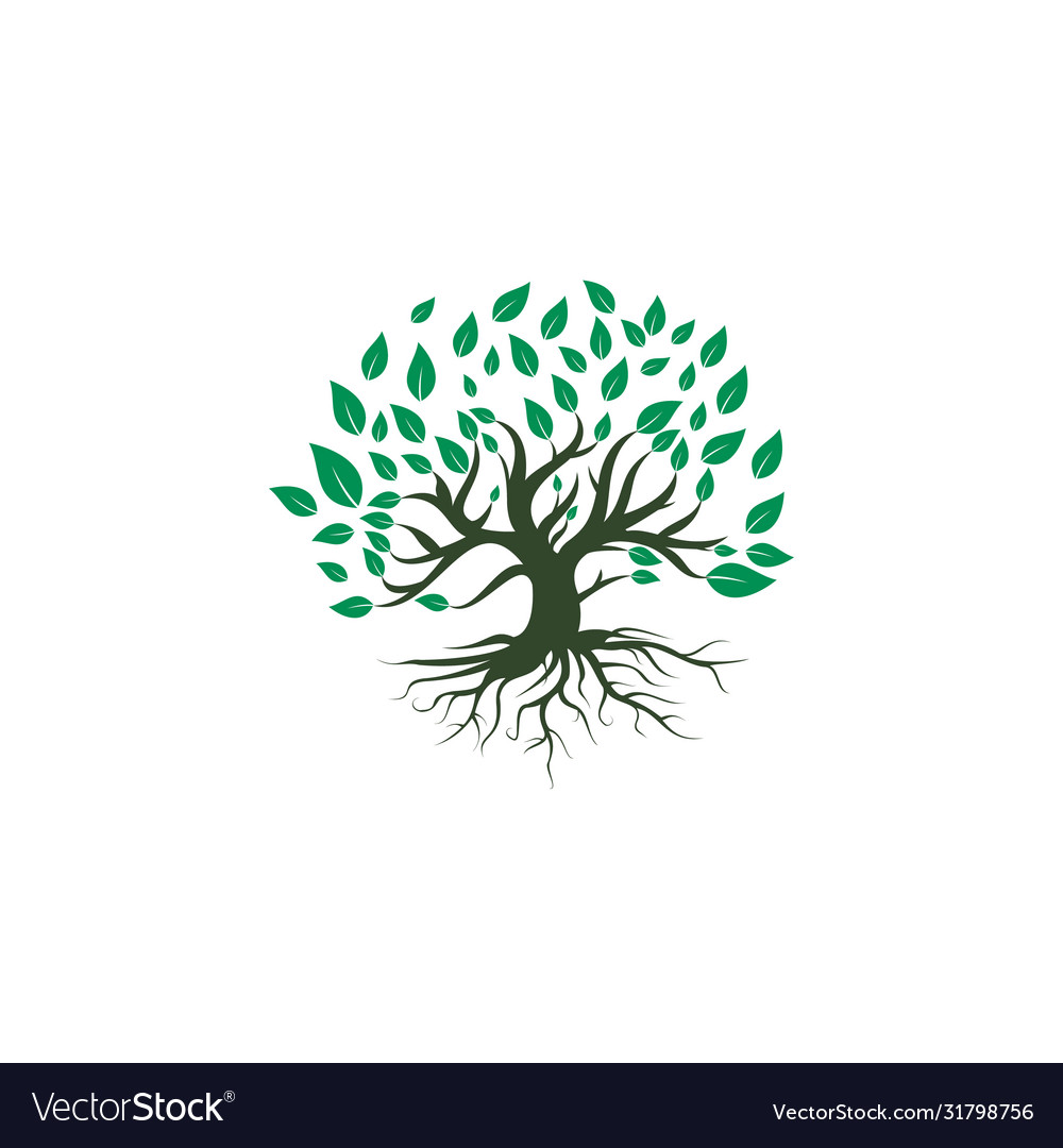 Tree root logo design Royalty Free Vector Image