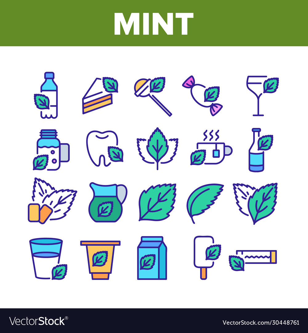 Mint refreshing leaf collection icons set vector image Mint refreshing leaf collection icons set