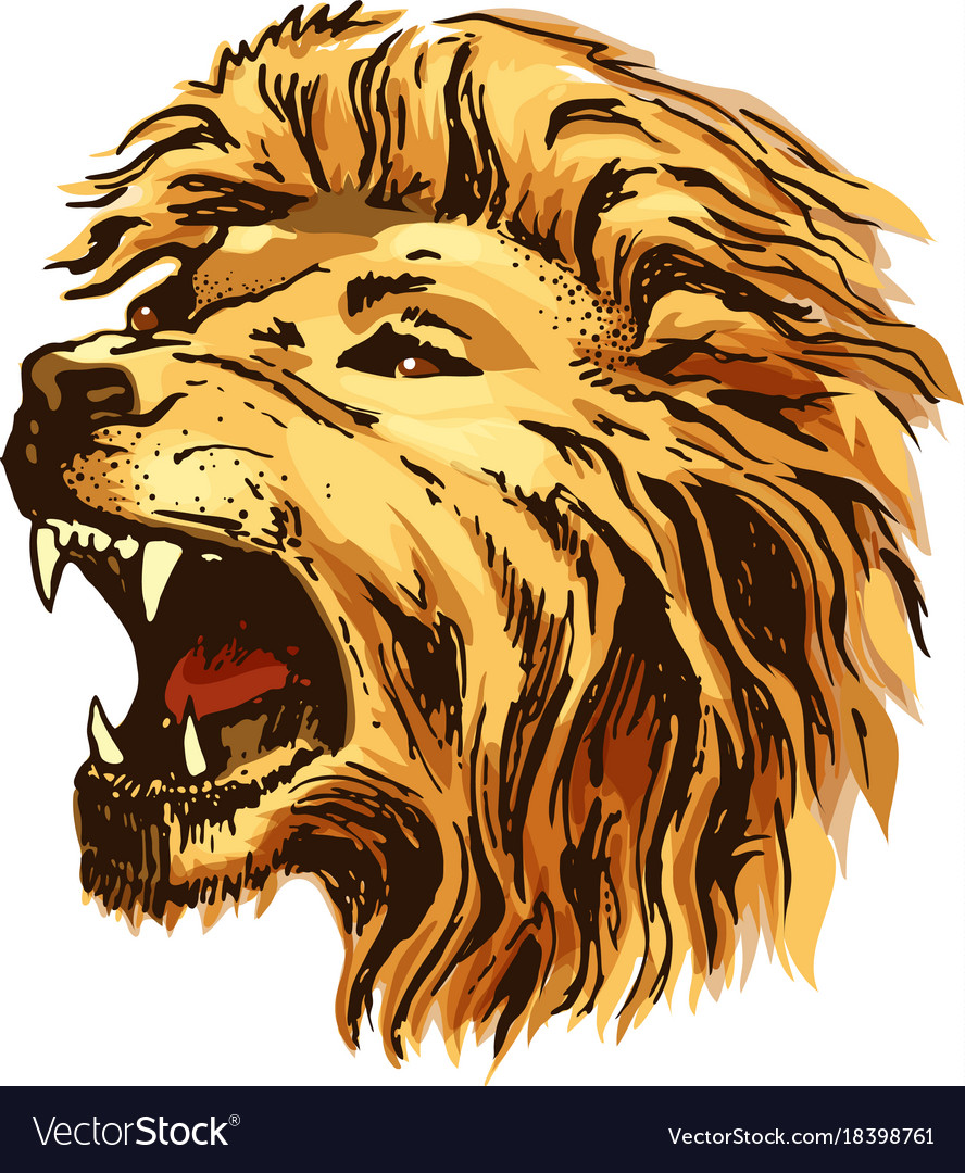 lion roaring drawing in color