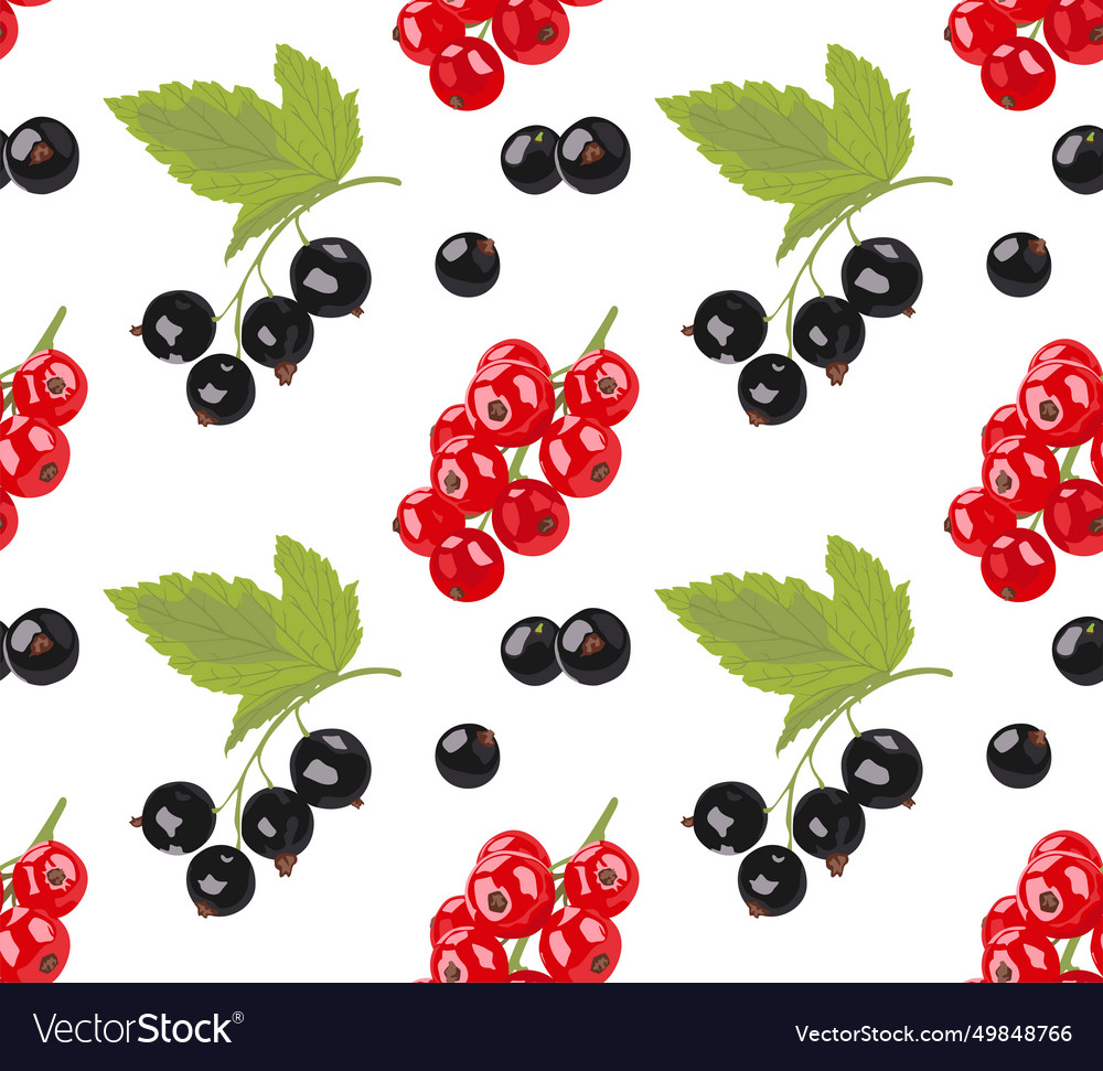 Black and red currant on a branch with leaves