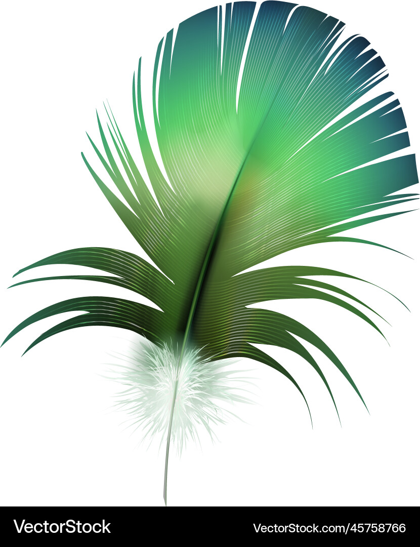 Realistic exotic feather composition Royalty Free Vector