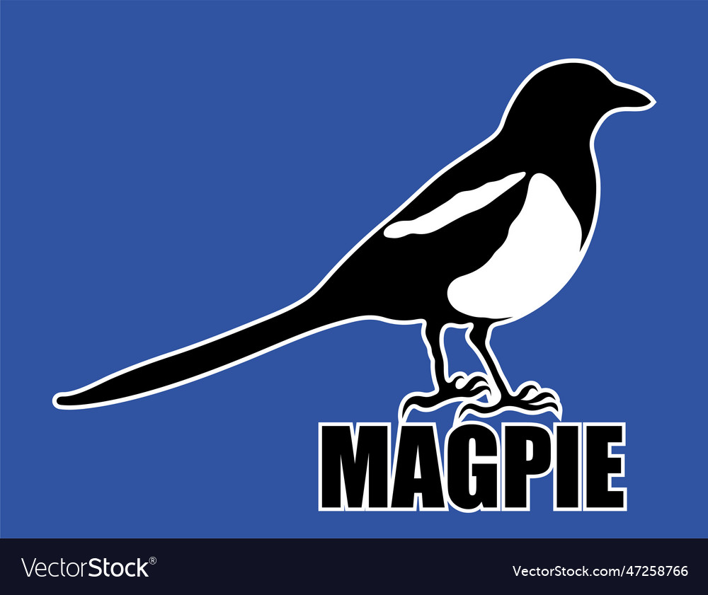 Stencil black and white of a magpie