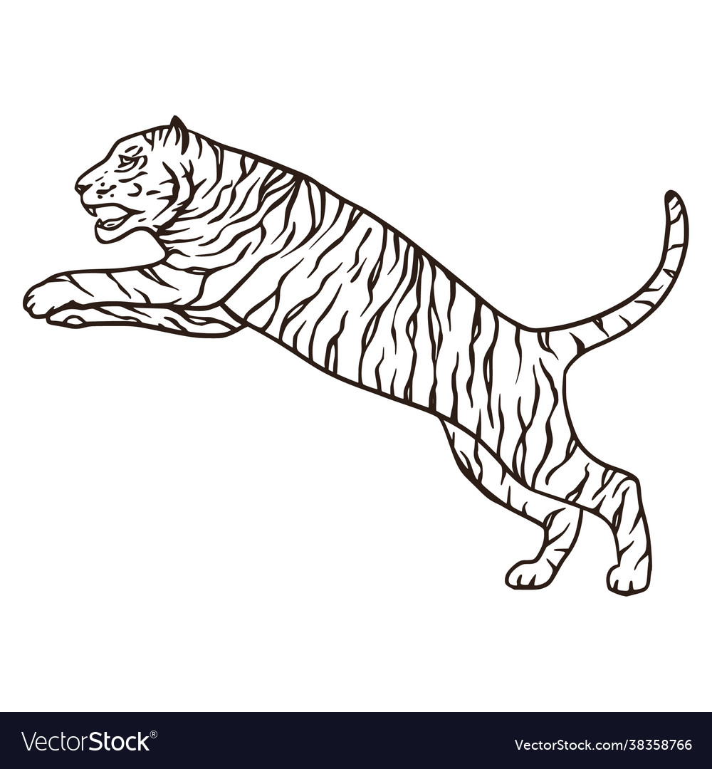 Wild bengal tiger nature mammal cartoon animal Vector Image