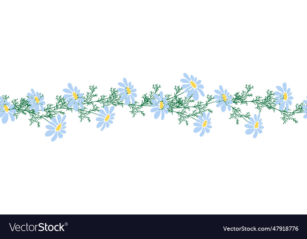Chamomile horizontal border seamless pattern