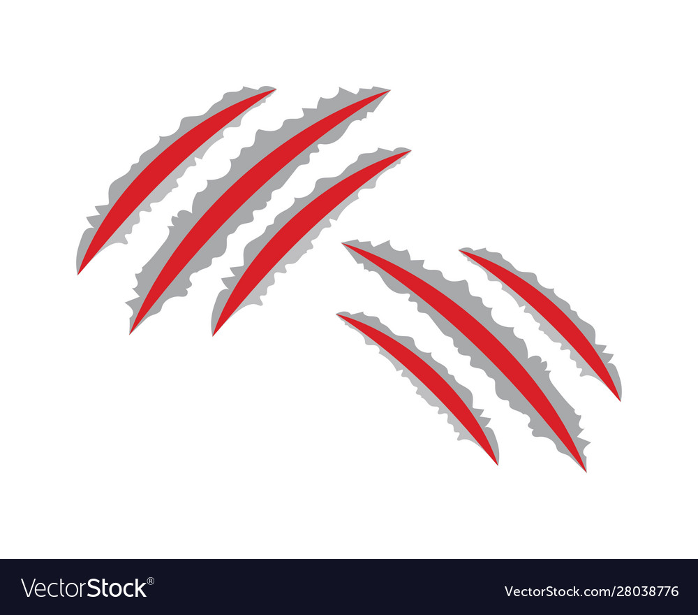 Krallen vector image Krallen