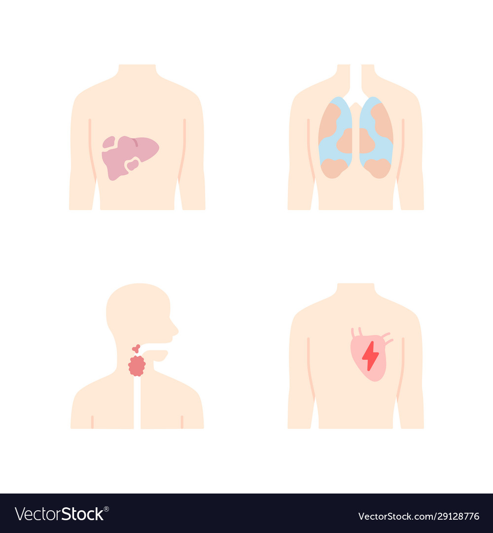 Ill human organs flat design long shadow color