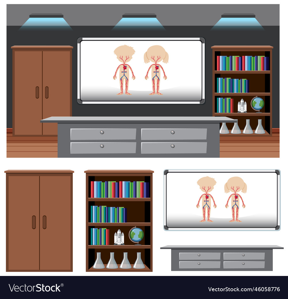 Set of anatomy element in the classroom background vector image Set of anatomy element in the classroom background