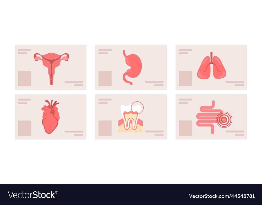 Human organs checkup semi flat color objects set vector image Human organs checkup semi flat color objects set