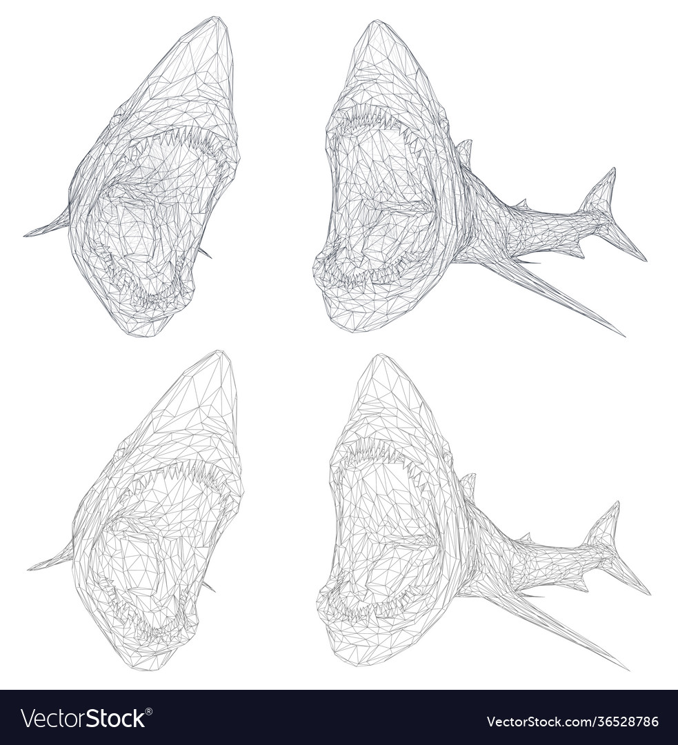 3d shark from a triangular grid