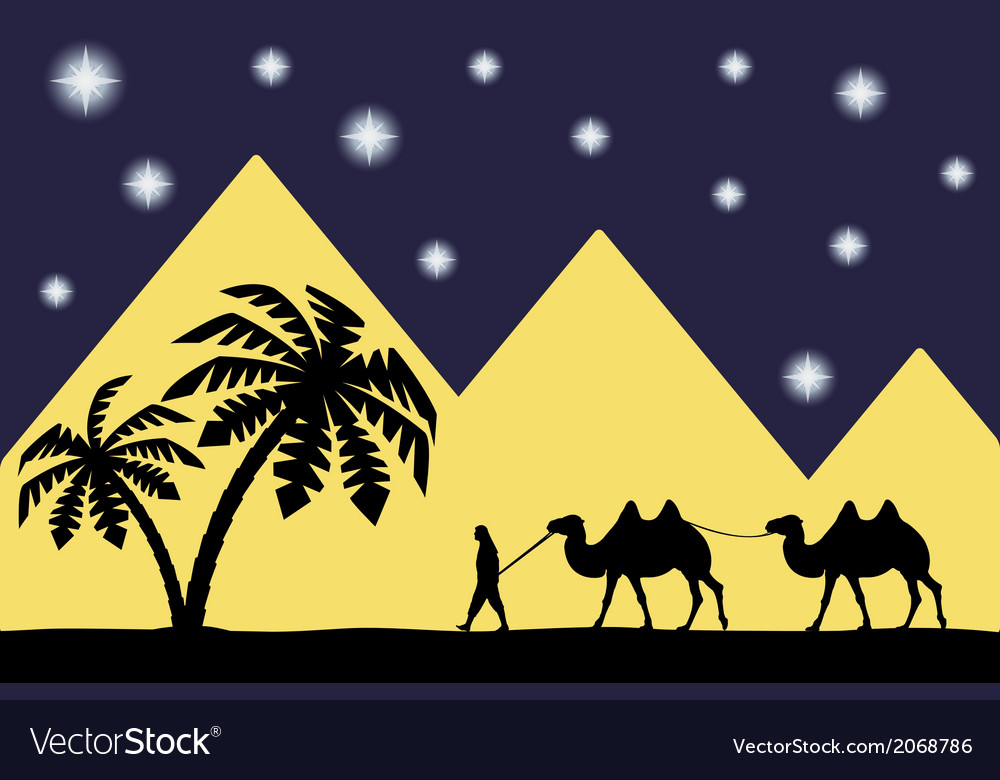 Man on the camel pyramids