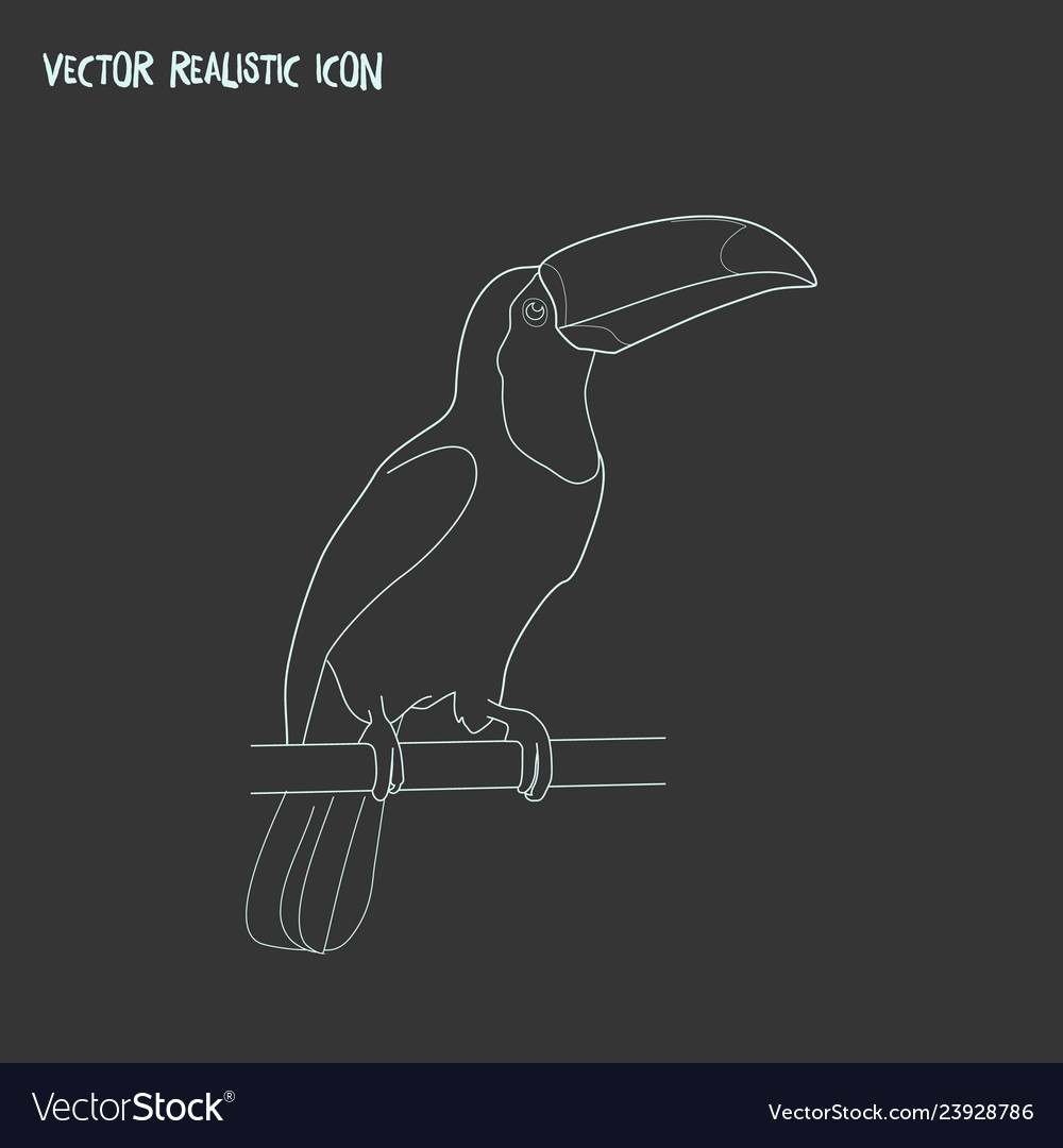 Toucan icon line element